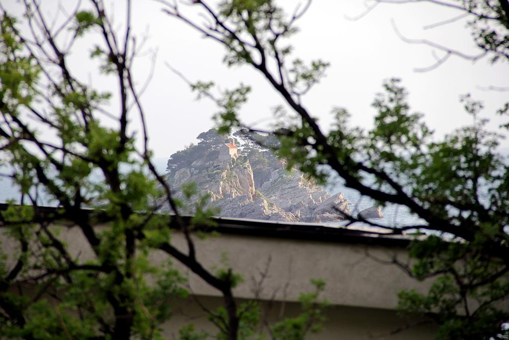Apartments Draskovic Mirista Petrovac エクステリア 写真